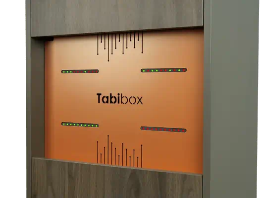 Vente Naotic Tabibox FT1 - 30 Tablettes - Tabipower Naotic au meilleur prix - visuel 4