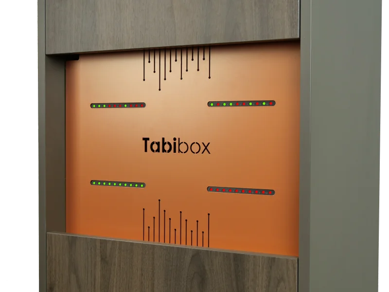 Vente Naotic Tabibox FT1 - 40 Tablettes - Tabipower Naotic au meilleur prix - visuel 4