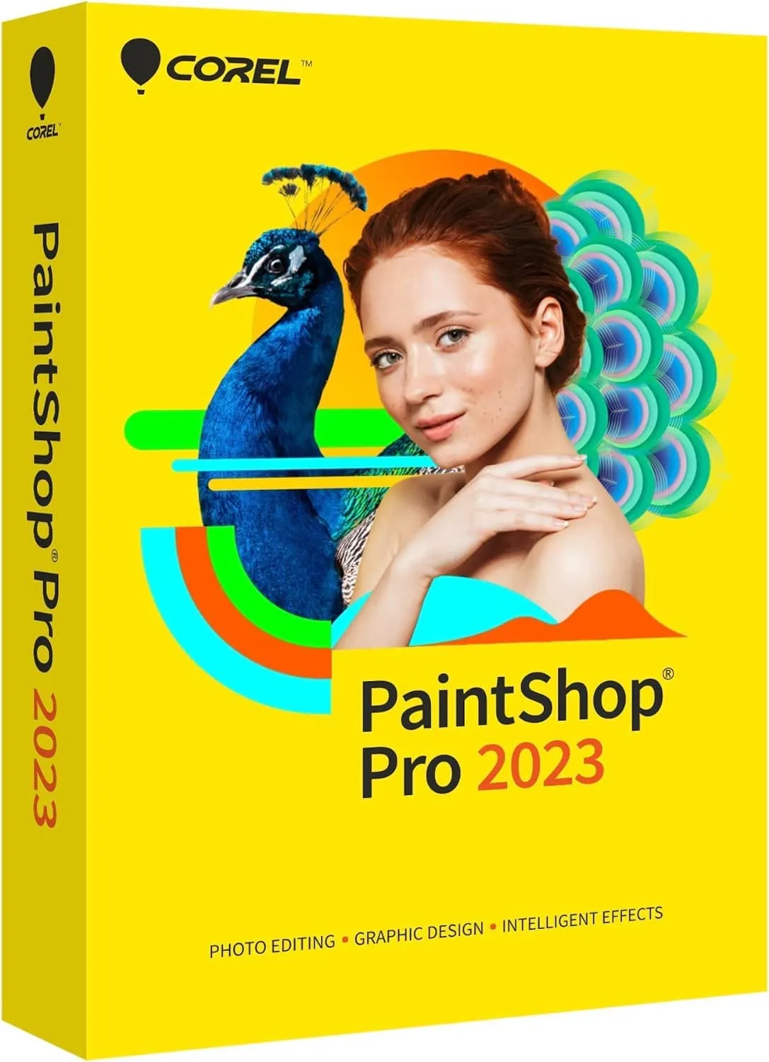 Vente Autres logiciels Alludo Entreprise PaintShop Pro 2023 Corporate Edition Licence (251-500) sur hello RSE