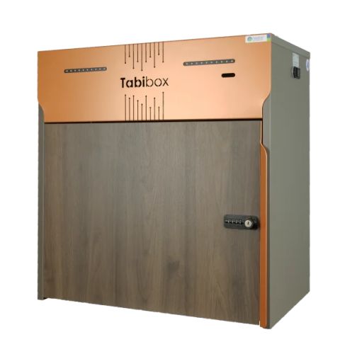Tabibox WT2 Charge électrique
