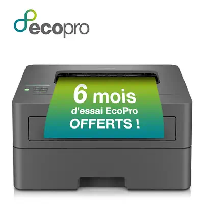 Brother HL-L2400DWE imprimante laser 1200 x 1200 DPI A4 Wifi - Imprimante Laser - visuel 1