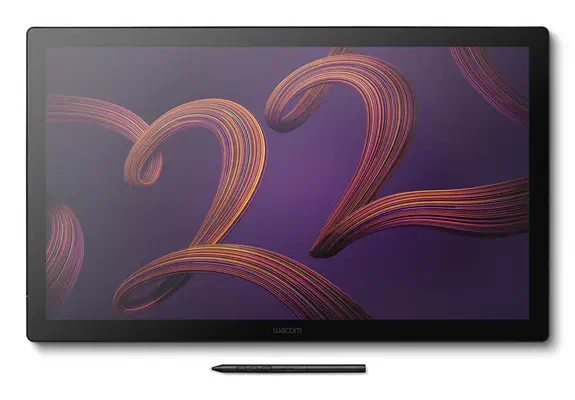 Wacom Cintiq Pro 22 tablette graphique Noir 476 x 268 mm USB - Ecran Numérique Interactif - visuel 1