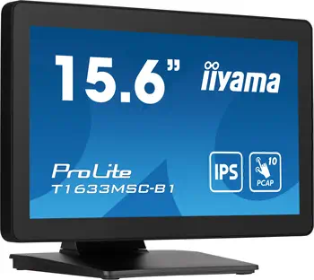 Livraison rapide Ecran Ordinateur ProLite 15.6"