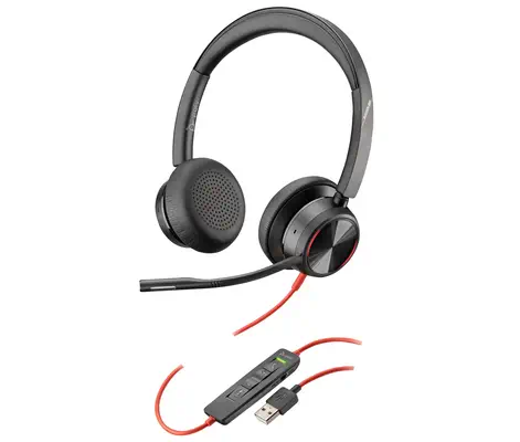 Micro-casque Poly Blackwire 8225 USB-A Poly - visuel 1 - hello RSE - Contrôle continu