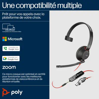 Micro-casque Poly Blackwire C5210 USB-C + câble commandes Poly - visuel 1 - hello RSE - Style de port