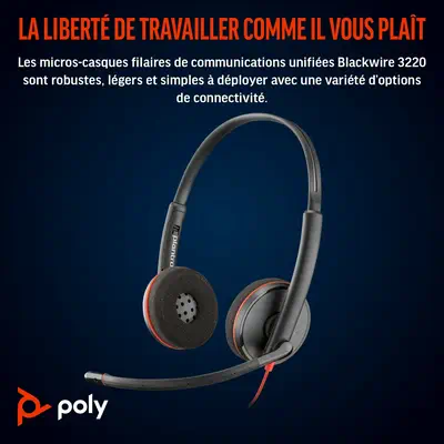 Micro-casque stéréo Poly Blackwire C3220 USB-C Poly - visuel 1 - hello RSE - Connectivité avancée
