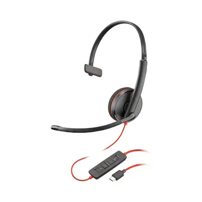 Micro-casque Poly Blackwire 3210 monaural USB-C Poly - visuel 1 - hello RSE - Style de port