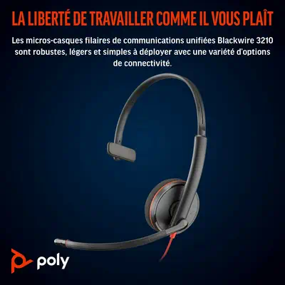 Micro-casque Poly Blackwire 3210 monaural USB-C Poly - visuel 1 - hello RSE - Options de connectivité