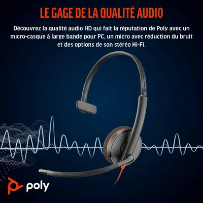 Micro-casque Poly Blackwire 3210 monaural USB-C Poly - visuel 1 - hello RSE - Conception légère