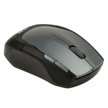 Livraison rapide Souris 4