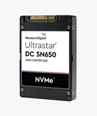 Western Digital Ultrastar WUS5EA1A1ESP5E3  - Disque dur - Disque dur SSD - visuel 1