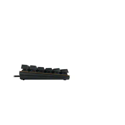 CHERRY KC 200 MX clavier Universel USB AZERTY CHERRY - visuel 1 - hello RSE - Connectivité fiable