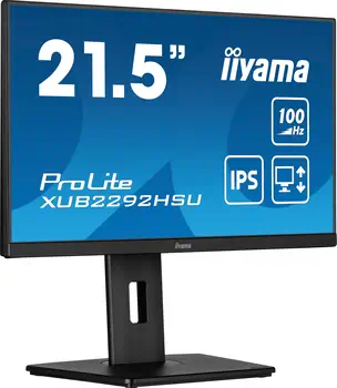 Ecran Ordinateur iiyama XUB2292HSU-B6 meilleur prix