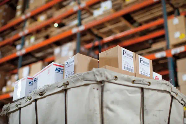 Dymo LW - Très grandes étiquettes d'expédition - 104 x 159 - Ruban - visuel 4