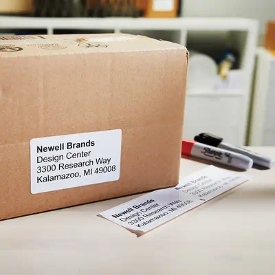 DYMO LW étiquettes autocollantes authentiques polyvalentes | 57 mm x 32 mm | rouleau de 1 000 étique - Dymo - Ruban - visuel 8