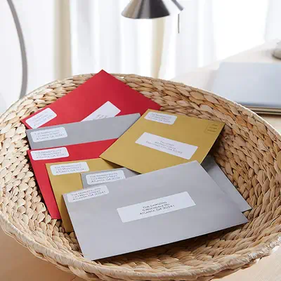 DYMO LW grandes étiquettes authentiques d'adresse autocollantes | 36 mm x 89 mm | 24 rouleaux de 260 - Dymo - Ruban - visuel 8