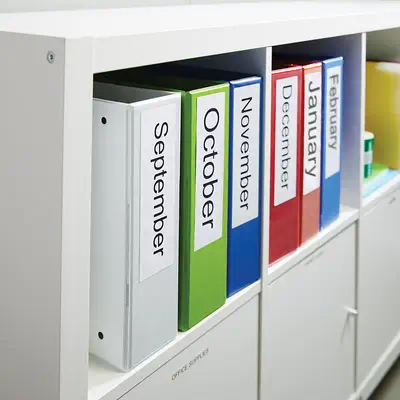 DYMO LW Petites étiquettes authentiques pour classeur à arceaux | 38 mm x 190 mm | Rouleau de 110 |  - Dymo - Ruban - visuel 8