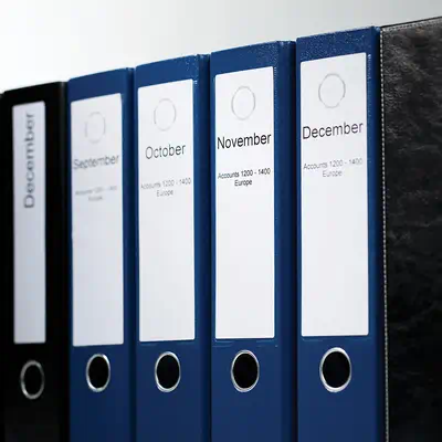 DYMO LW grandes étiquettes autocollantes authentiques pour classeurs à levier/polyvalentes | 59 mm x - Dymo - Ruban - visuel 5