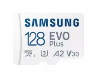 Achat Samsung EVO Plus - 8806092411159