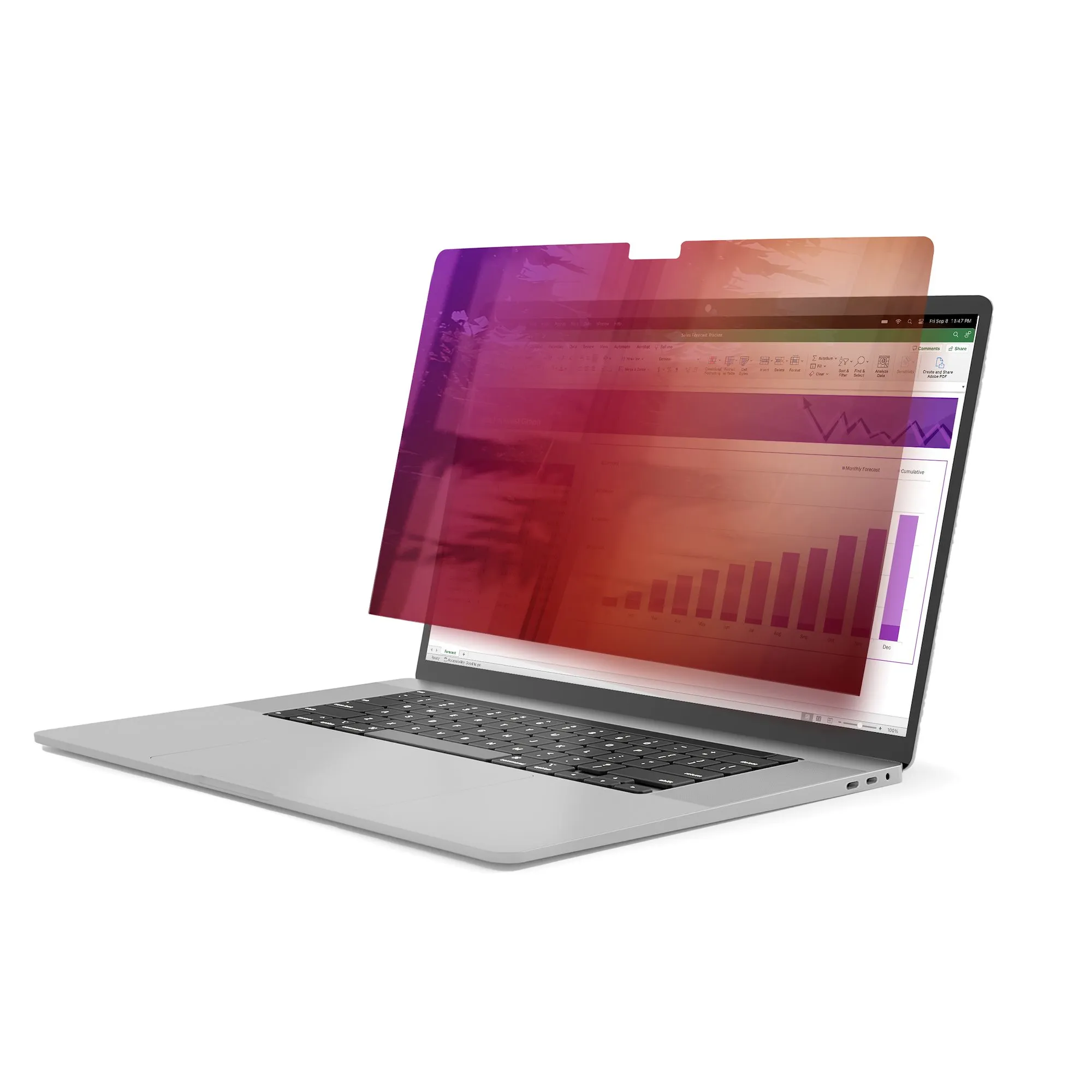 Livraison gratuite Protection d'écran et Filtre Netbook