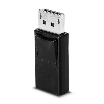 LINDY Adaptateur DisplayPort vers mini DisplayPort - Lindy - Câble Audio - visuel 1