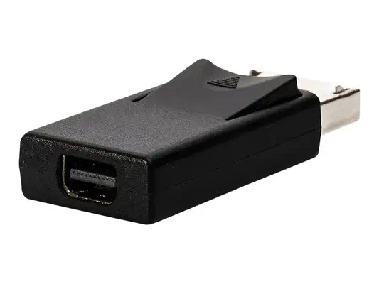 LINDY Adaptateur DisplayPort vers mini DisplayPort - Lindy - Câble Audio - visuel 1