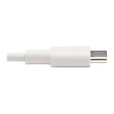 Vente EATON TRIPPLITE USB-C to Lightning Sync/Charge Cable Tripp Lite au meilleur prix - visuel 4