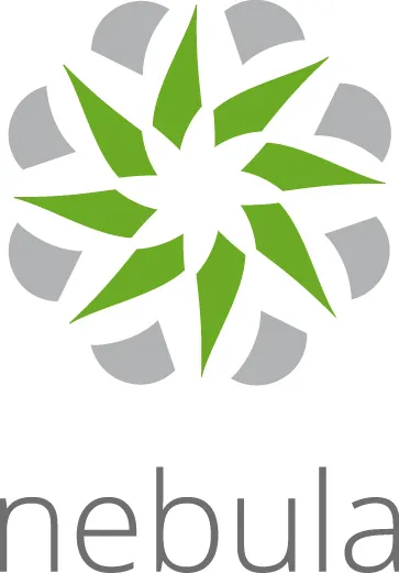 Zyxel LIC-NPRO-ZZ1Y00F  - Switchs et Hubs - visuel 1