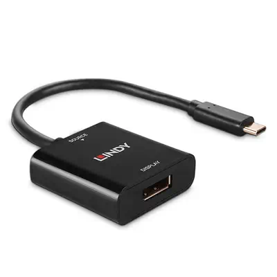 LINDY USB Type C to DisplayPort Converter - Lindy - Câble Audio - visuel 3