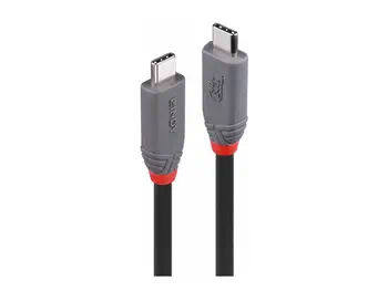 LINDY 0.8m USB 4 240W Type C Cable Anthra Line offre