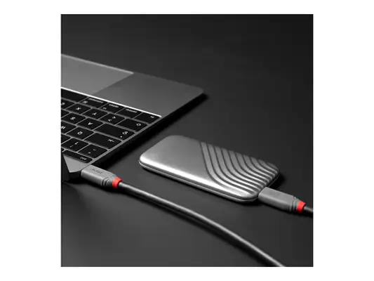 LINDY 1.5m USB 4 240W Type C Cable Anthra Line - Lindy - Câble Audio - visuel 2