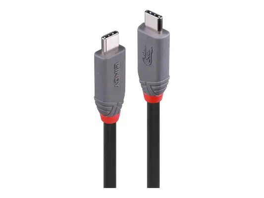 LINDY 2m USB 4 240W Type C Cable Anthra Line - Lindy - Câble Audio - visuel 4