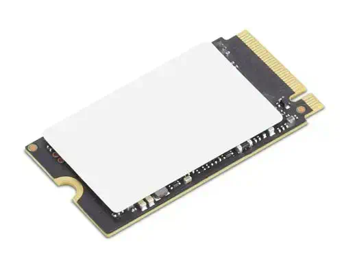 Lenovo 4XB1N36071 disque SSD 256 Go M.2 PCI Express 4.0 - Disque dur SSD - visuel 1