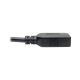 Vente EATON TRIPPLITE USB-C to USB-A Adapter M/F USB Tripp Lite au meilleur prix - visuel 6