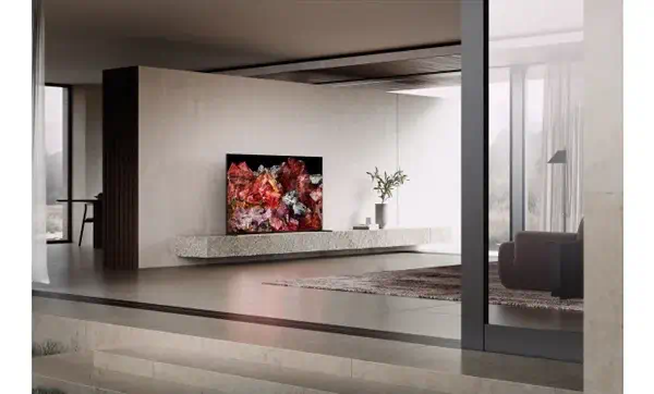 Sony FWD-65X95L TV 165,1 cm (65") 4K Ultra HD Smart TV Wifi Noir - Affichage dynamique - visuel 2
