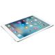 Achat iPad Air 9.7'' 16Go - Argent - WiFi sur hello RSE - visuel 3