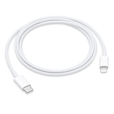 Revendeur officiel Câbles et chargeurs reconditionnés Câble Lightning vers USB-C 1m - Grade B Divers