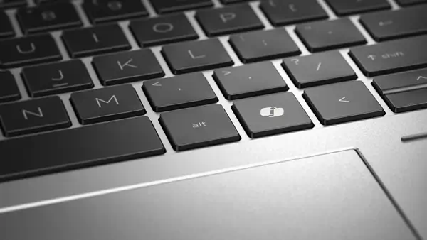 EliteBook 865 16 inch G11 Notebook PC Wolf HP - visuel 1 - hello RSE - Naviguez en toute confiance