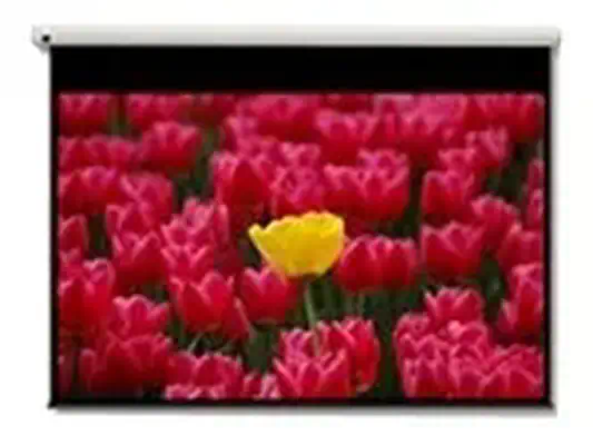 Pantalla 16:9 2656 x 1494mm - Optoma - Ecran de projection - visuel 1