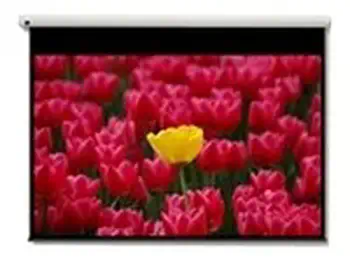 Revendeur officiel Pantalla 16:9 2656 x 1494mm