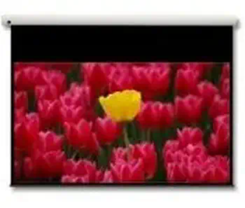 Optoma Panoview 16:9 106" écran de projection 2,69 m (106") achat