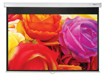 Optoma DS-1109PMG+ écran de projection 2,77 m (109") 16:10 comparaison
