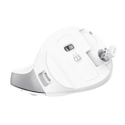 Trust Bayo II souris Bureau Droitier RF sans fil Optique 2400 DPI - Souris - visuel 7