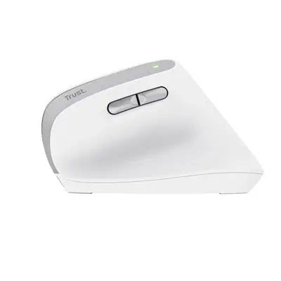 Trust Bayo II souris Bureau Droitier RF sans fil Optique 2400 DPI - Souris - visuel 4