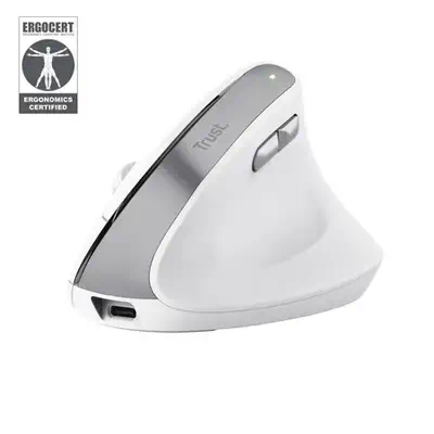 Trust Bayo II souris Bureau Droitier RF sans fil Optique 2400 DPI - Souris - visuel 10