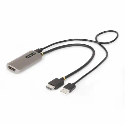 StarTech Câble Adaptateur HDMI vers DisplayPort de 30cm - Câble HDMI - visuel 1