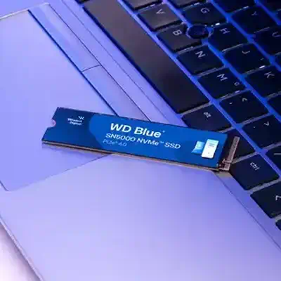 Western Digital WDS200T4B0E disque SSD 2 To M.2 PCI Express 4.0 NVMe - Disque dur SSD - visuel 4