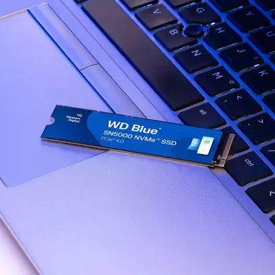 Western Digital Blue SN5000 500 Go M.2 PCI Western Digital - visuel 1 - hello RSE - Endurance robuste