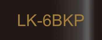 Epson LK-6BKP Noir, Or avis