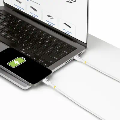 StarTech Câble de Charge USB-C de 2m, Charge et - Câble USB - visuel 6